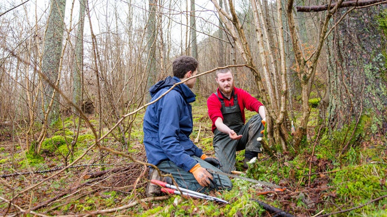Two rangers coppicing in Great Wood